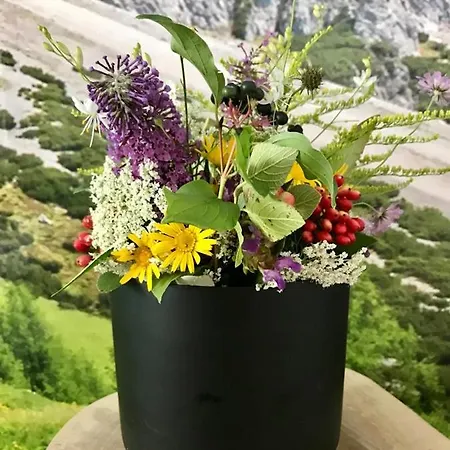 アパート Wellnessapartment Alpenland 22