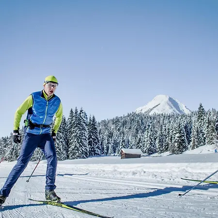 Wellnessapartment Alpenland 22 Apartamento Seefeld in Tirol