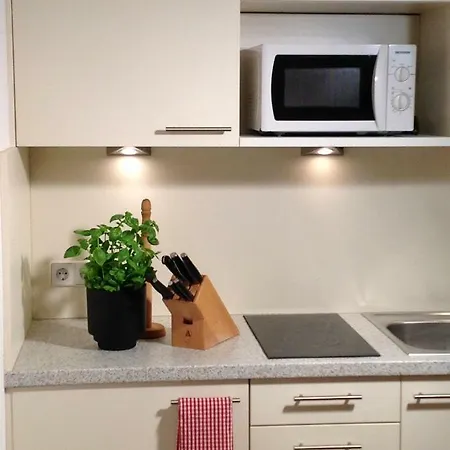 Apartamento Wellnessapartment Alpenland 22 *